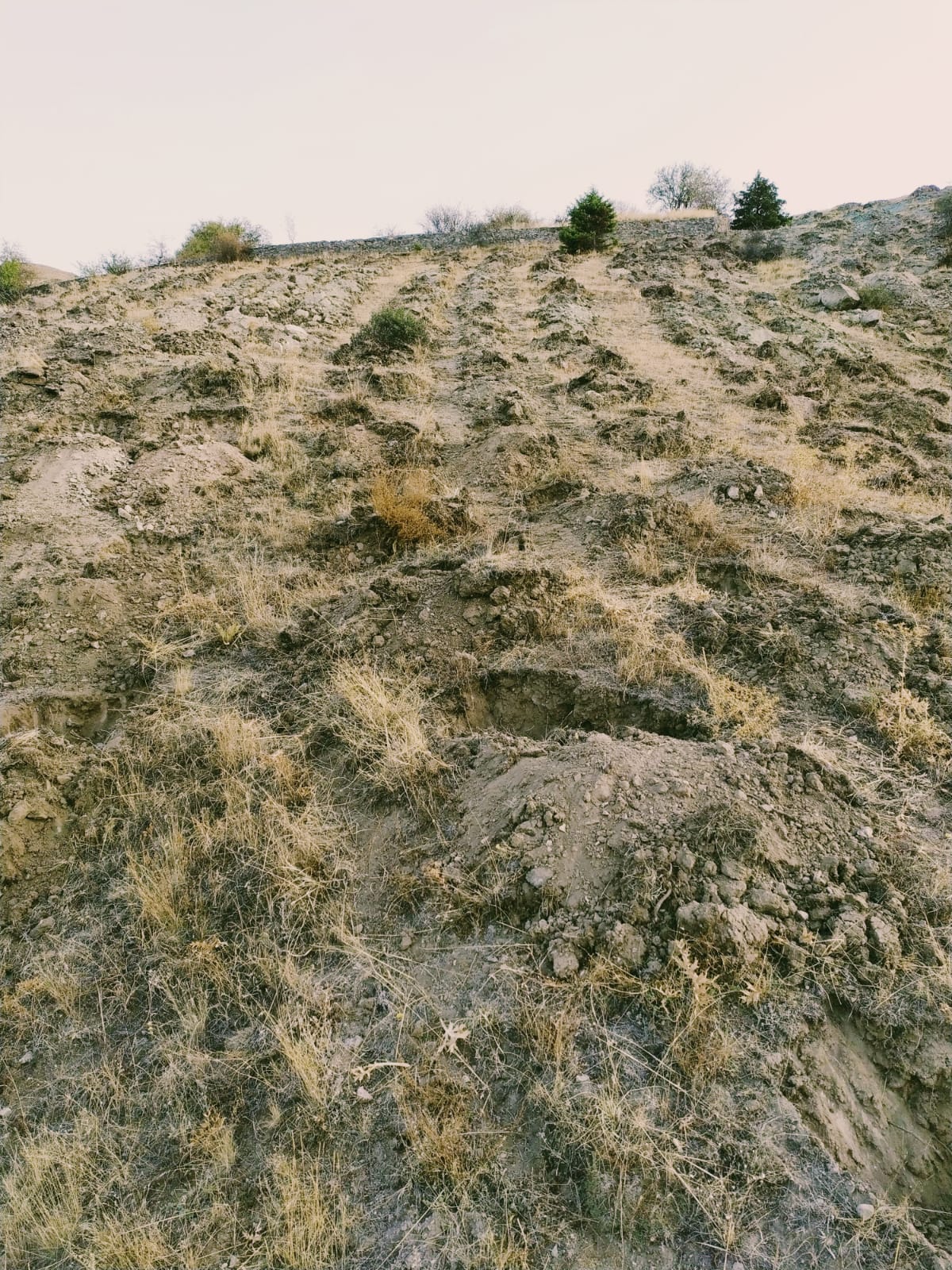 ARAZİ ÇALIŞMALARIMIZ