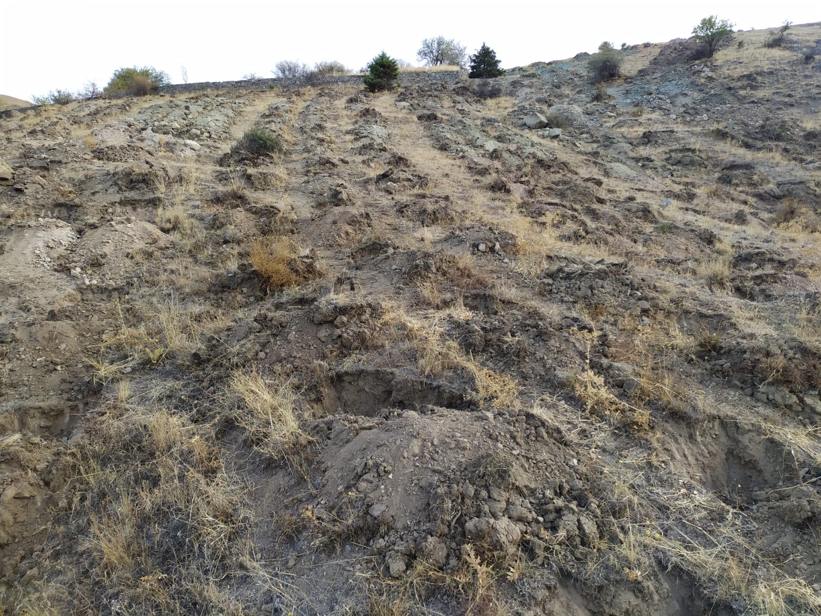 ARAZİ ÇALIŞMALARIMIZ