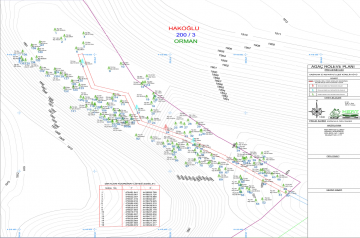 Ağaç Röleve Planı