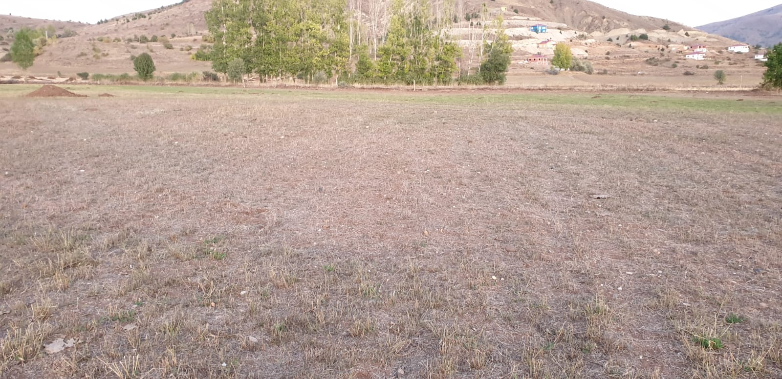 ARAZİ ÇALIŞMALARIMIZ