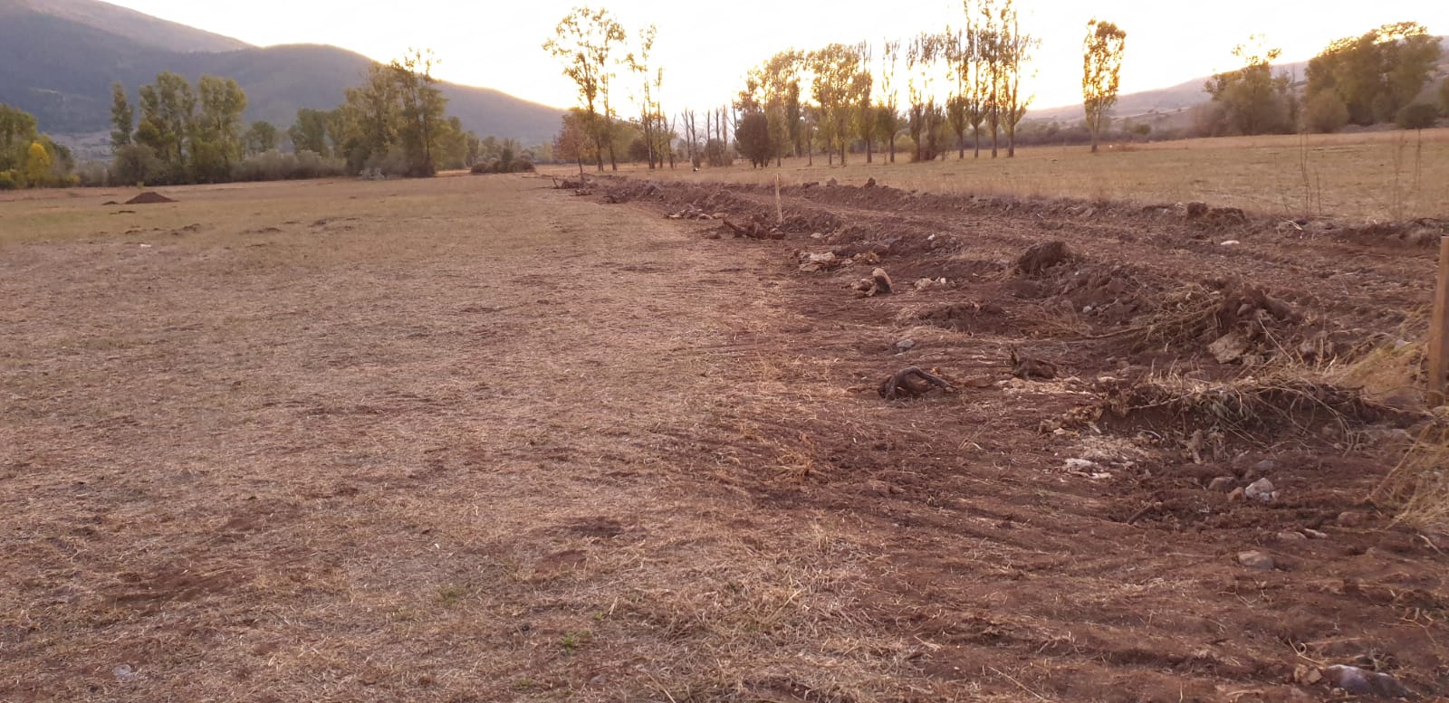 ARAZİ ÇALIŞMALARIMIZ