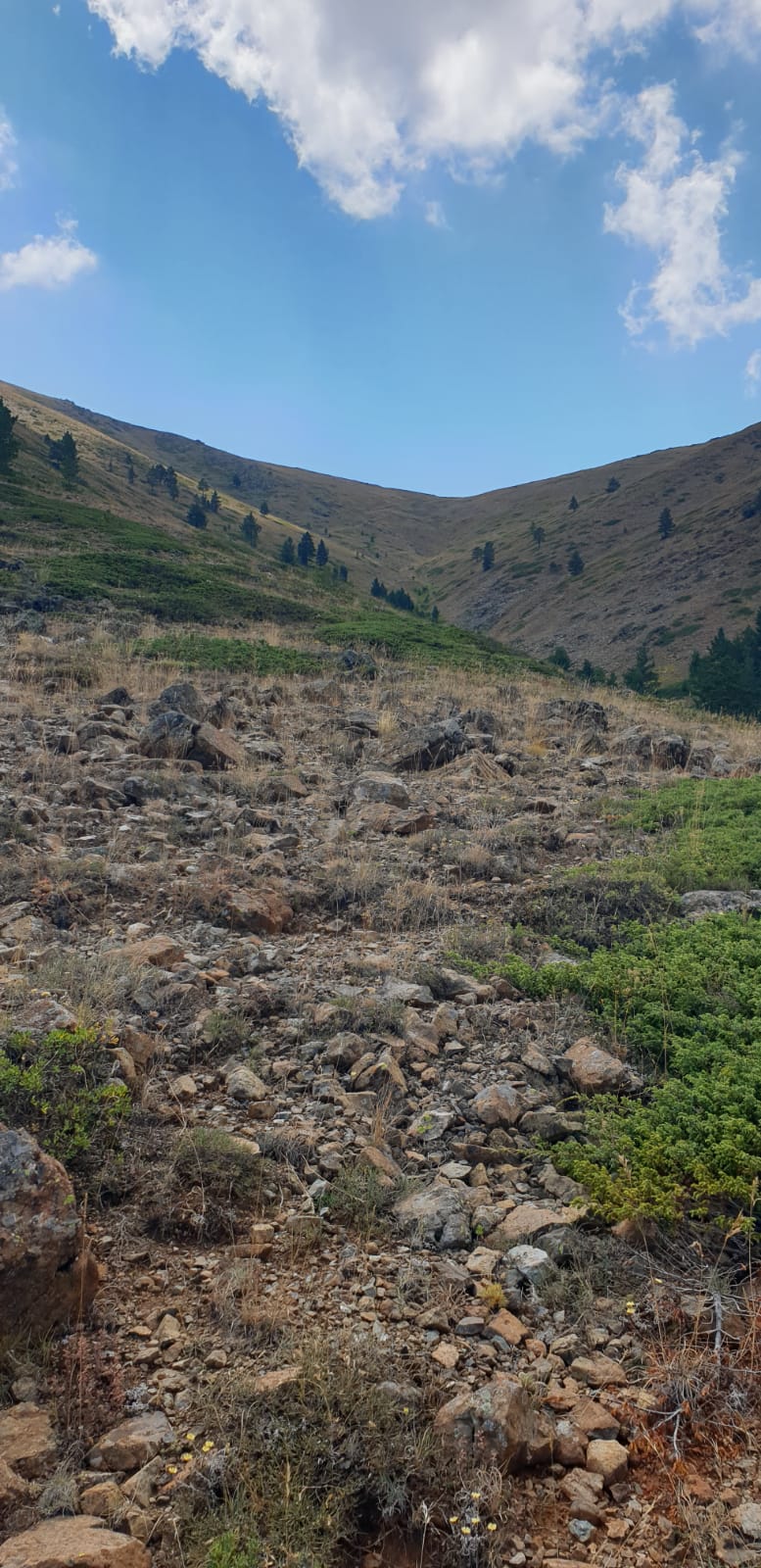 ARAZİ ÇALIŞMALARIMIZ