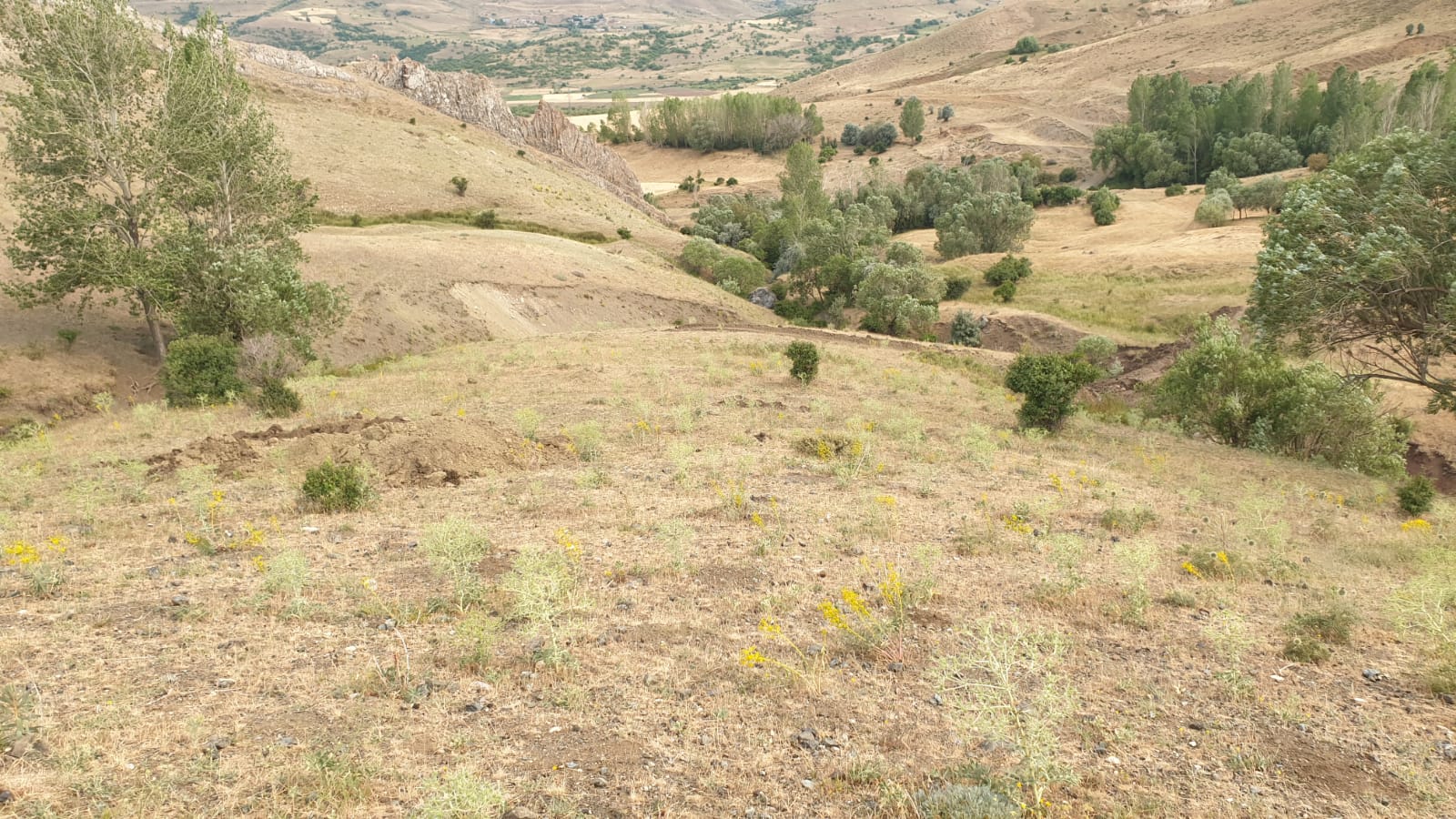 ARAZİ ÇALIŞMALARIMIZ