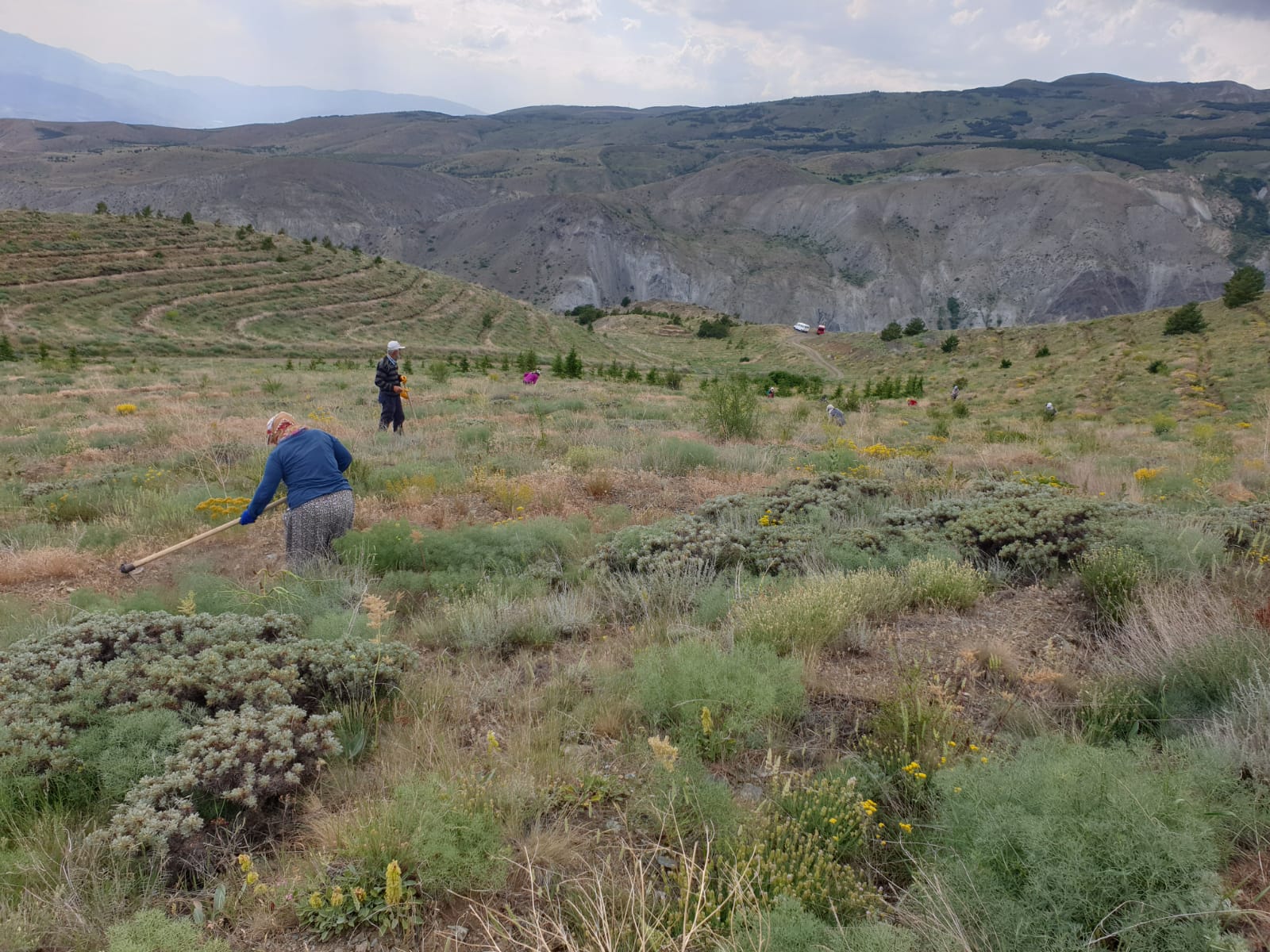 ARAZİ ÇALIŞMALARIMIZ