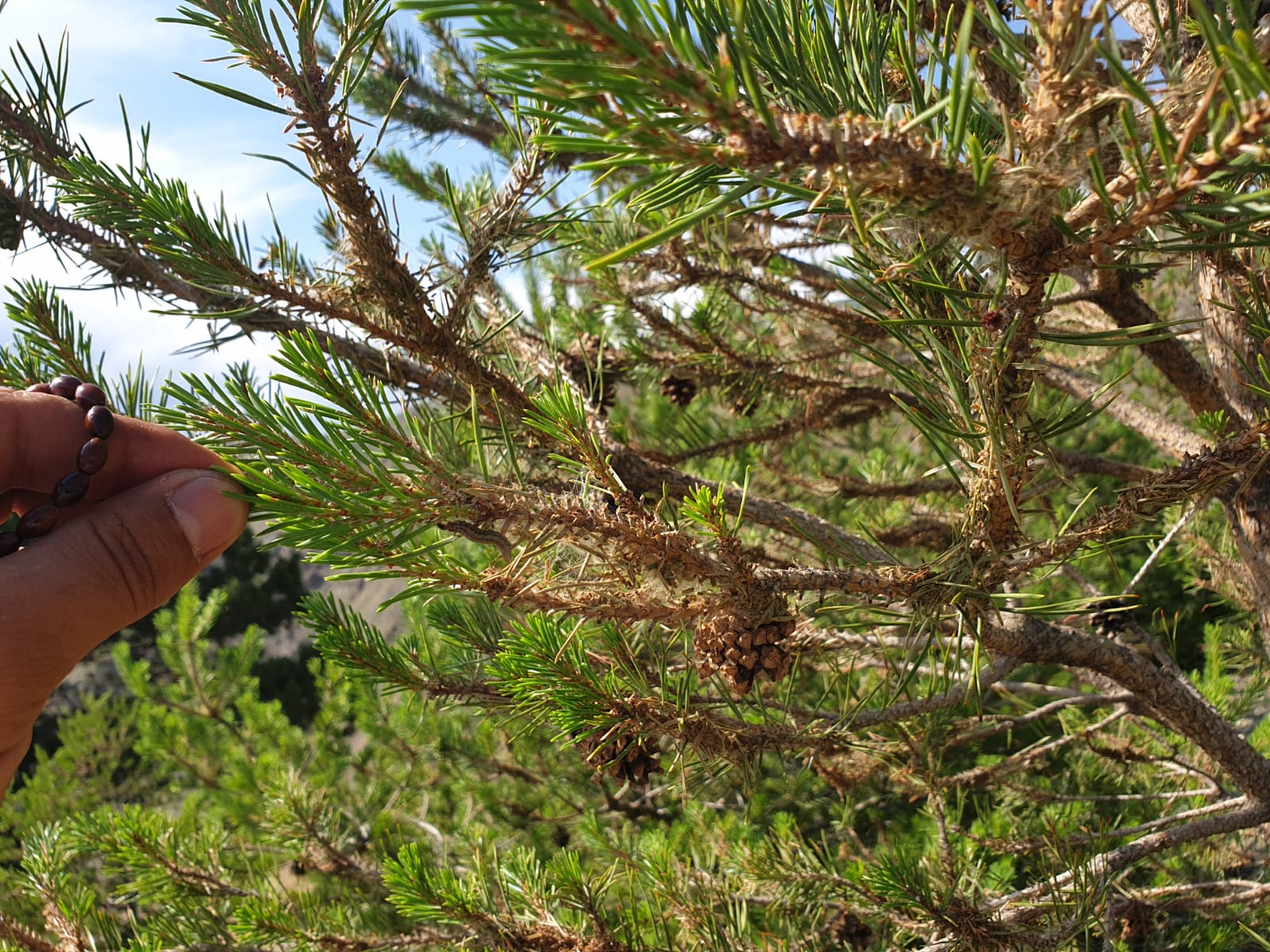 ARAZİ ÇALIŞMALARIMIZ