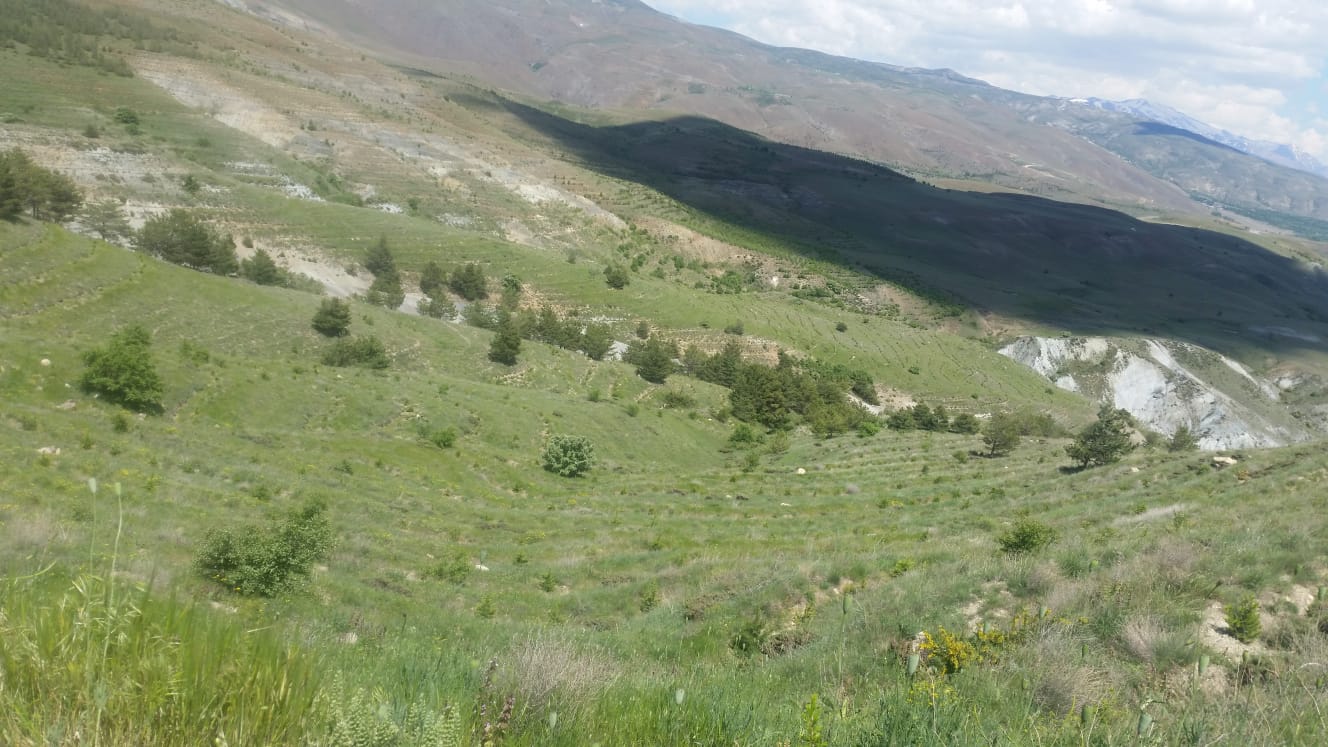 ARAZİ ÇALIŞMALARIMIZ