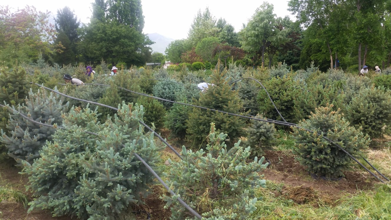 ARAZİ ÇALIŞMALARIMIZ