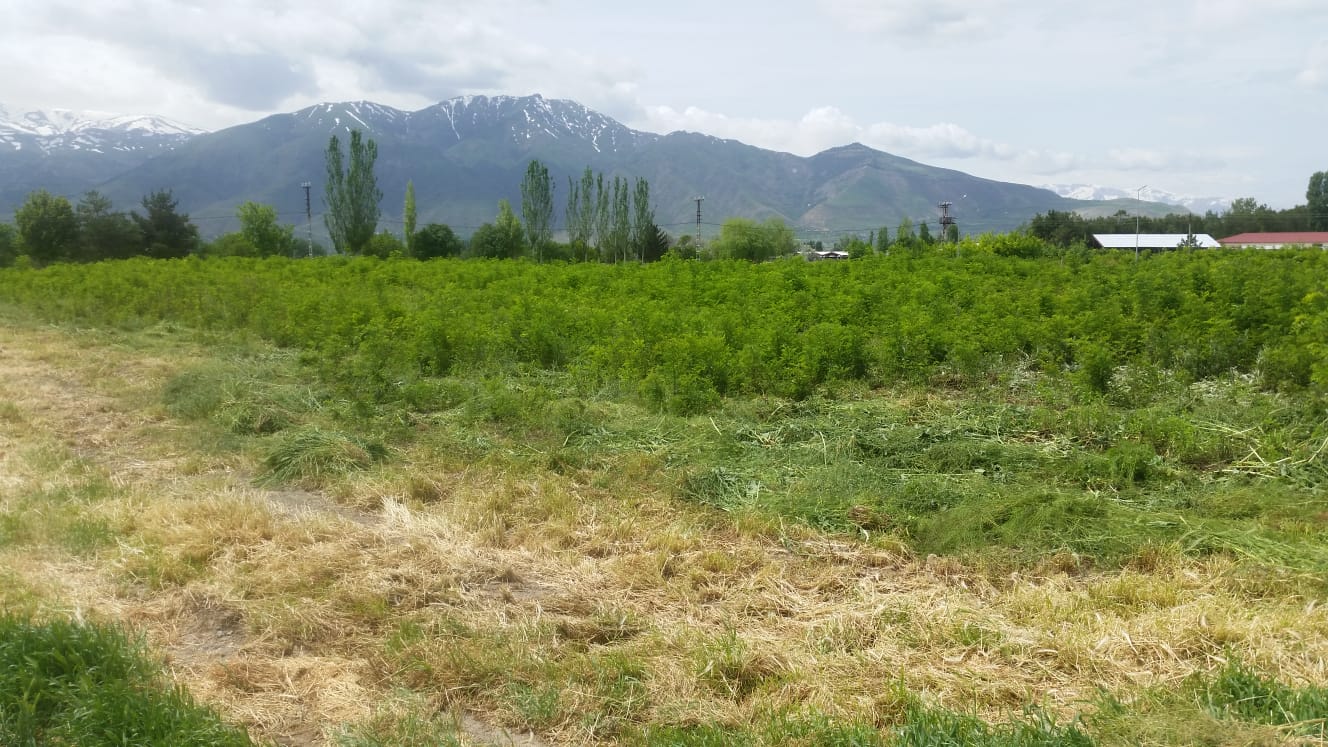 ARAZİ ÇALIŞMALARIMIZ