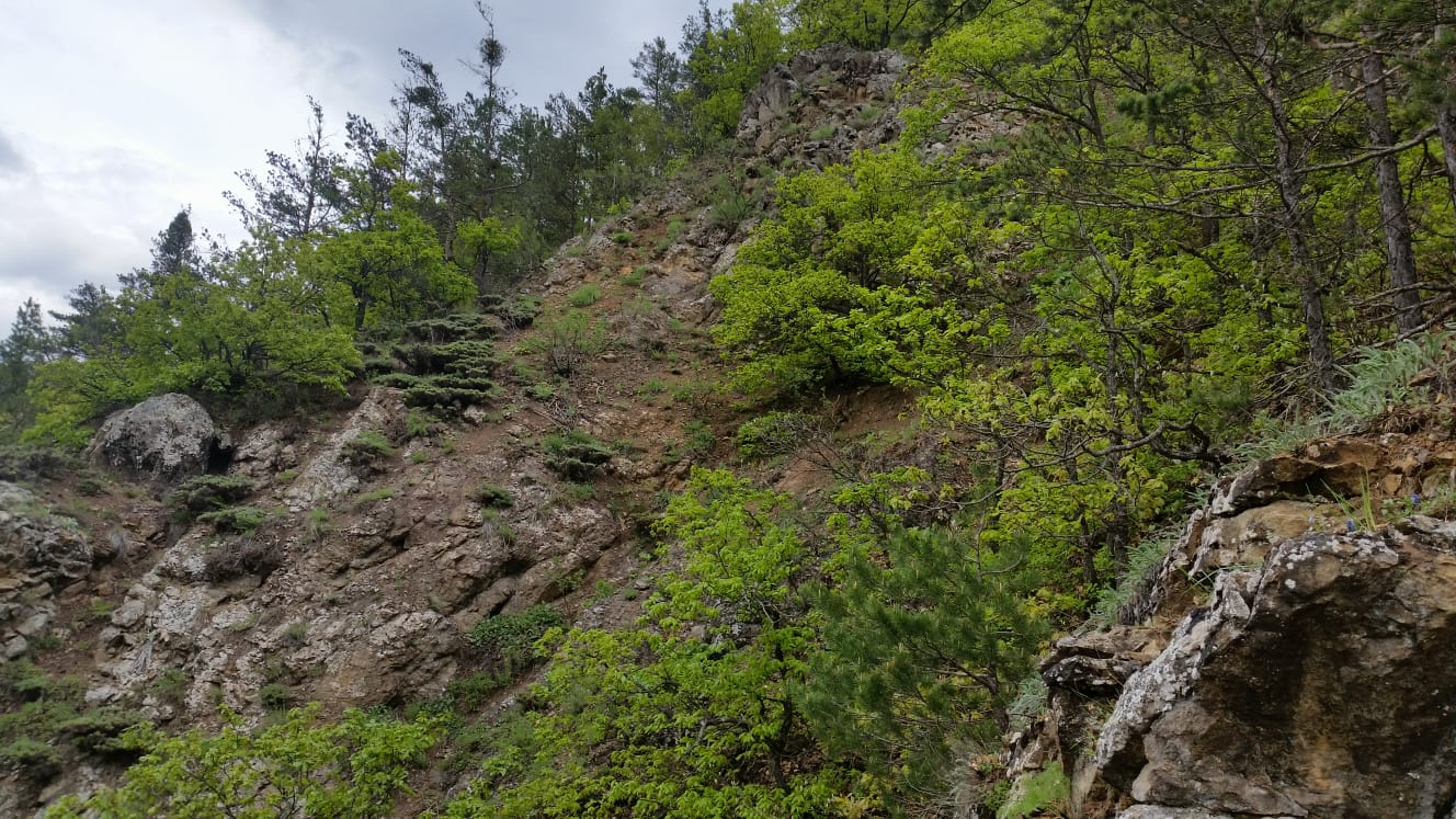 ARAZİ ÇALIŞMALARIMIZ