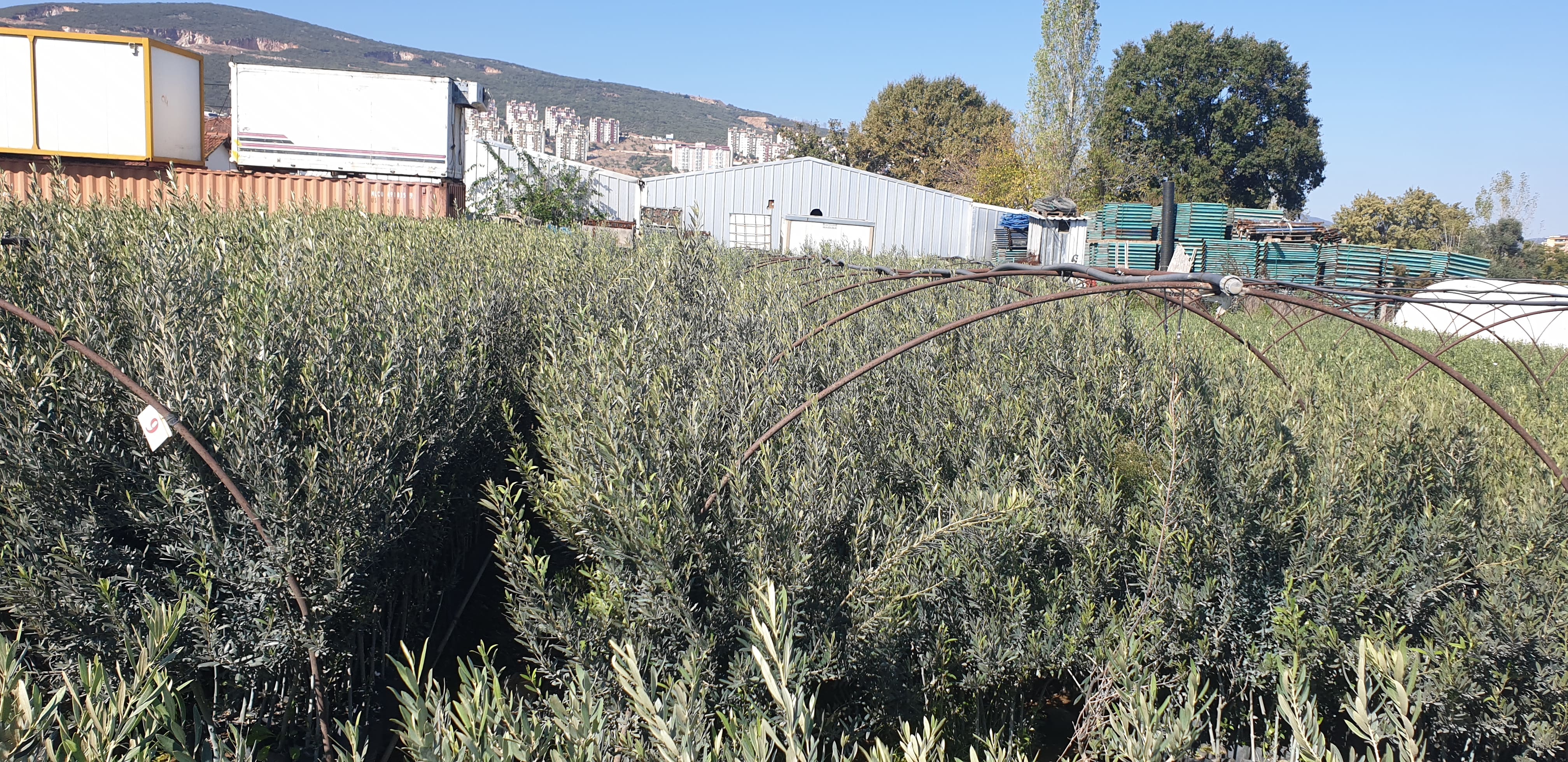 ARAZİ ÇALIŞMALARIMIZ