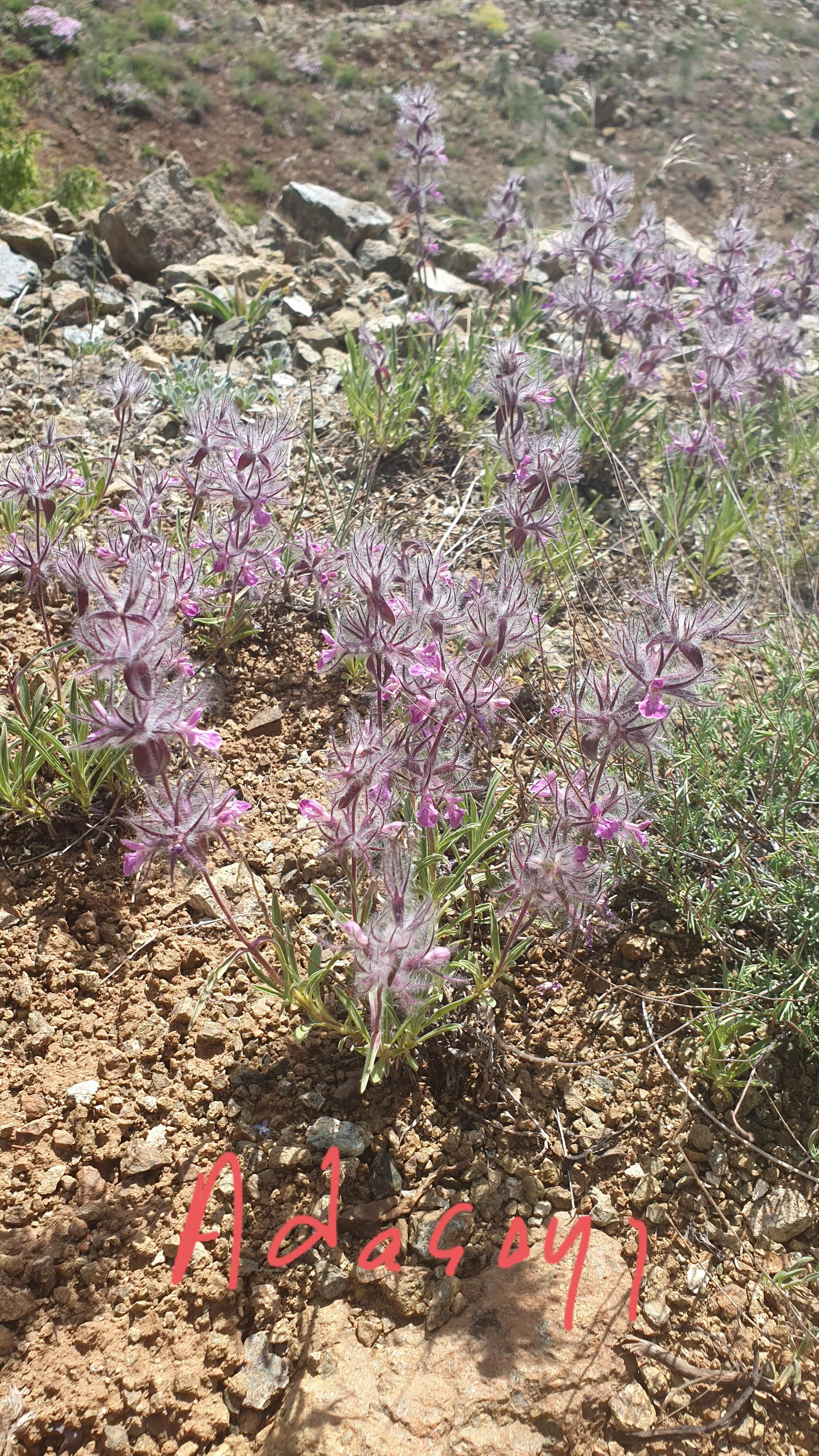 ARAZİ ÇALIŞMALARIMIZ