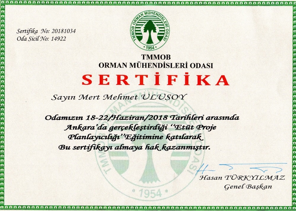 Yol Ağı Planlayıcılığı